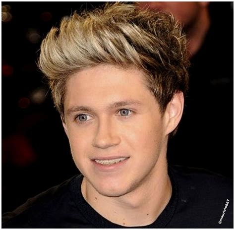 Niall James Horan ( / ˈnaɪəl ˈhɒrən /; [1] lahir 13 September 1993) adalah seorang penyanyi dan penulis lagu berkebangsaan Irlandia. [2] Dia mulai terkenal sejak menjadi anggota grup One Direction. [2] Pada tahun 2010, Horan mengikuti audisi sebagai artis solo untuk ajang menyanyi Inggris The X Factor. Setelah tereliminasi sebagai peserta ... 